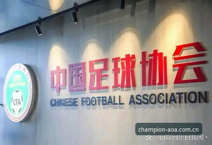 资深用户盘点足协禁足名单：从孟惊到高寒，AOA体育平台上的案例剖析与实战心得